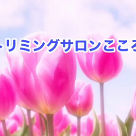 4月　〜スライドショー〜の画像