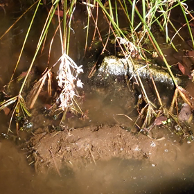 1年ぶりの更新の画像