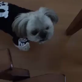 鼻息荒いね〜の画像