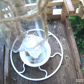 すぎぴたんの事件簿シーズン3　39話（のんびり屋のシジュウカラ）の画像