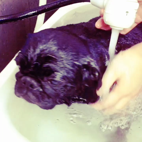 美太くんの画像