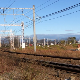 笠松のカーブにて！の画像