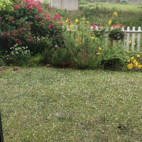 大変(*ﾟ∀ﾟ*)雹が降ってるの画像