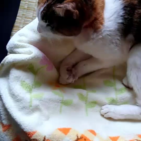 ☆☆バタる☆123日目☆☆長生き☆の画像