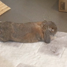 お疲れですか？の画像