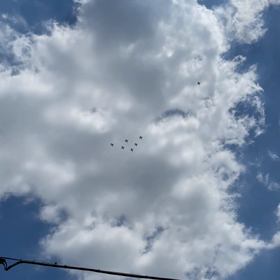 ブルーインパルス！の画像