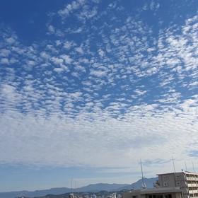 秋ですね、うろこ雲が流れていくの画像