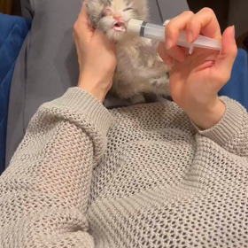 緊急保護の画像