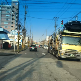 3/5快晴風無しですの画像