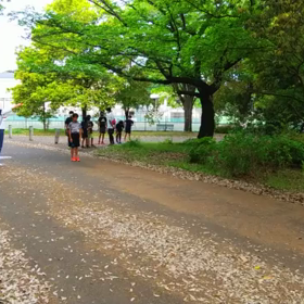 リレー選考会(男子)スタート付近⑤の画像