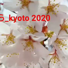 　　コロナに負けるな❗️の画像