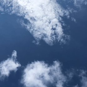 ( ´ ▽ ` )の画像