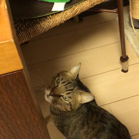 ☆かわいい、、、☆の画像