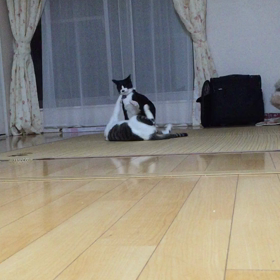 オリンピックの画像