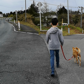 マミイ狂犬病の予防接種へ行くの画像