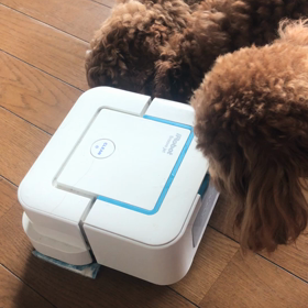 初めてましての画像