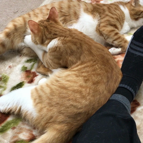 男の子同士の画像