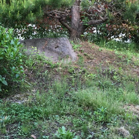 おっし！の画像