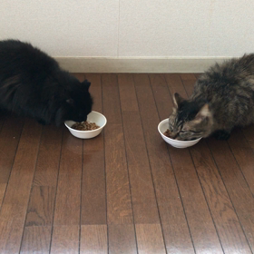 一番の食いしん坊は誰かな？の画像