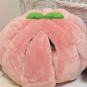 ❤︎大好き桃ハウス❤︎の画像