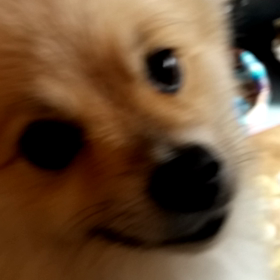 コミュニケーション(^w^)の画像