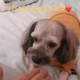 ジョンソク君ストーリー 続の画像