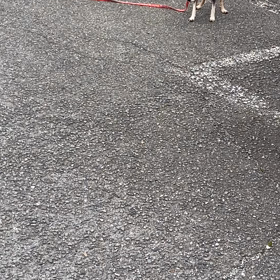 リーズママの画像