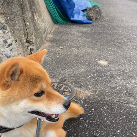 笑っちゃった、の画像