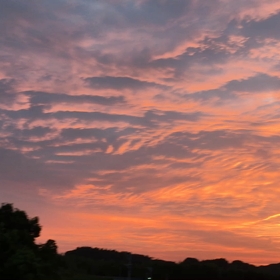 わぁ〜〜〜〜得した気分の画像