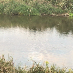 なるようにしかならないの画像