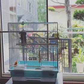 そだねー。の画像