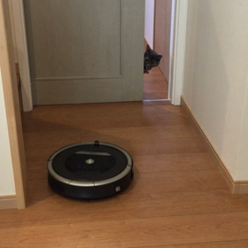 VS ルンバの画像