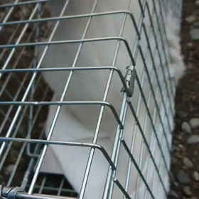 TNR捕獲2日目の画像