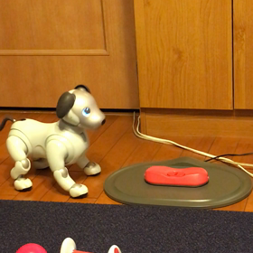 aibo、改名！の画像