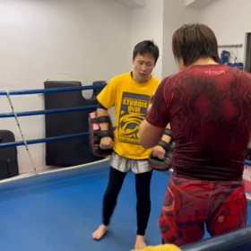 ヘイヤスの画像