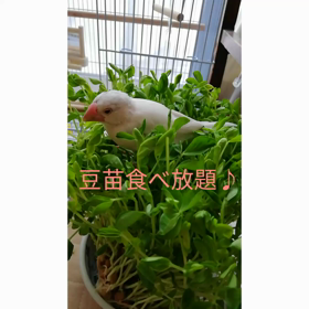 自分を大事に、自分らしくいる為に₍₍ ◝(　ﾟ∀ ﾟ )◟ ⁾⁾の画像