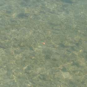 綺麗な海、漁港の画像