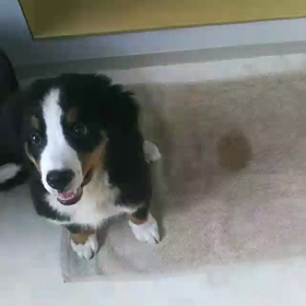 そら間違えるわなぁ！の画像