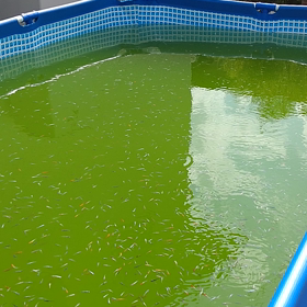 疲れますね…の画像