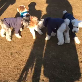 そら、キレる(・・;)の画像