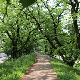 静寂の中の気づきからアセンションの画像