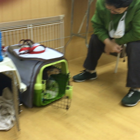 日本語は通じないのかぁ。の画像