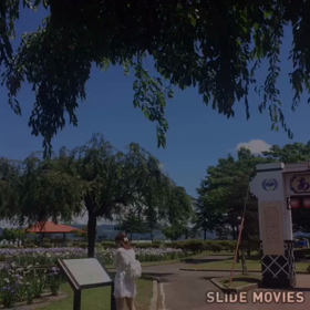 あやめまつり。の画像