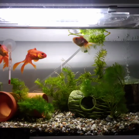 新居に無事到着の画像