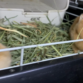 お水が飲めた！の画像