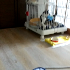 まだ～？の画像