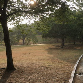 キツネの嫁入りの画像