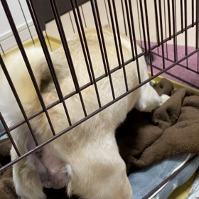 荒ぶる幸凪の画像