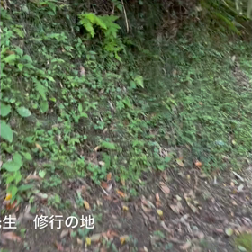 モ〜〜〜マイッタの画像