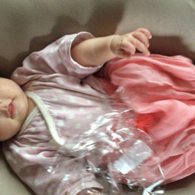 今日のさくらの画像